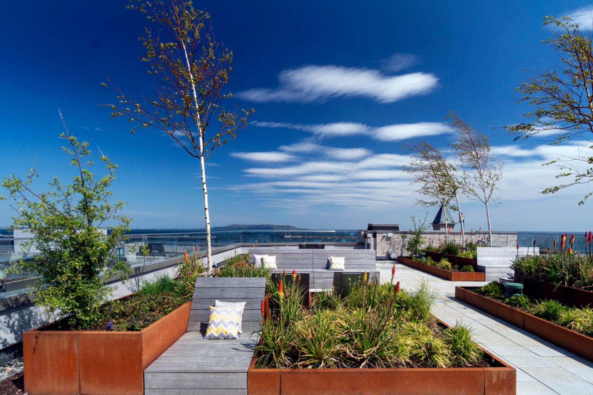Niche Living - Dun Laoghaire Dublin Dış mekan fotoğraf